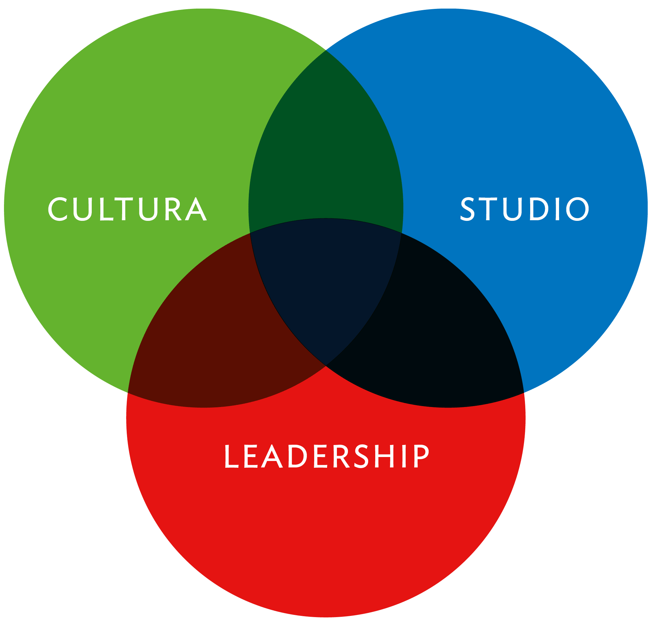 cultura-studio-leadership